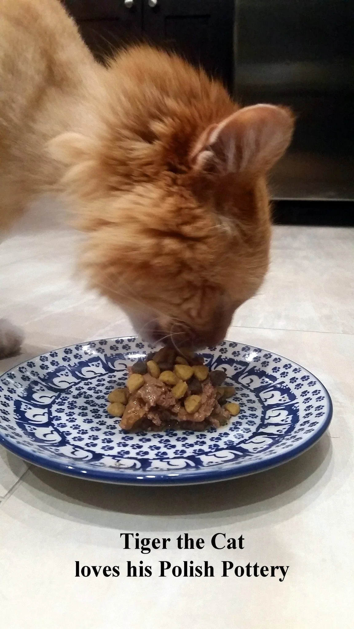 Plate, Round, Dessert, 7.25" in "Kitty Cat Path" by Manufaktura | T131T-KOT6 - Image 3